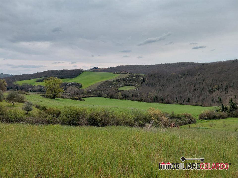 Terra a Poggibonsi, Siena - foto 1