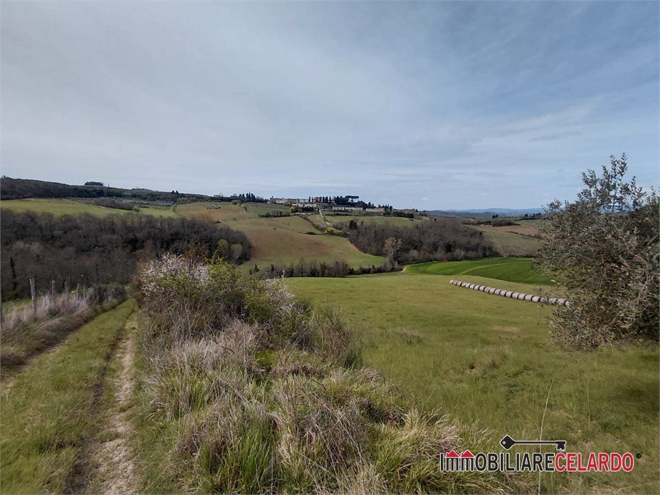 Terra a Poggibonsi, Siena - foto 2
