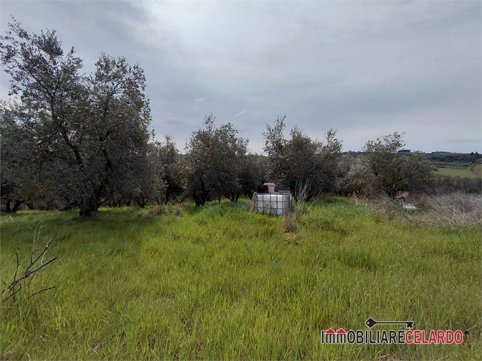 Terra a Poggibonsi, Siena - foto 3