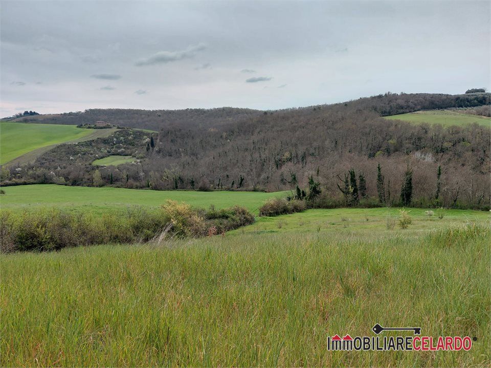 Terra a Poggibonsi, Siena - foto 4