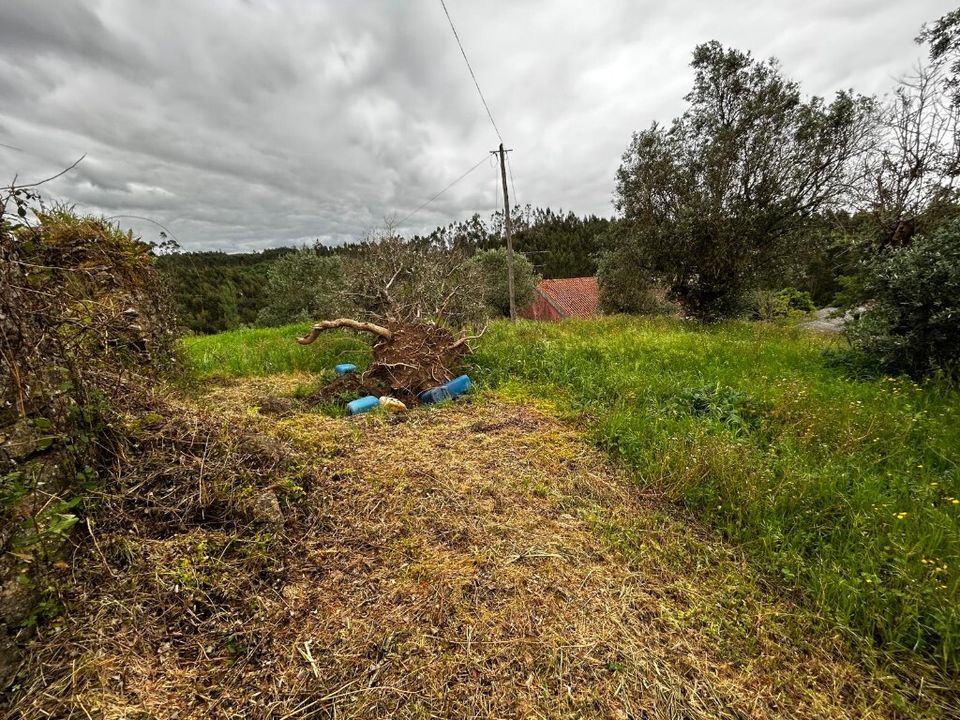 Byhus i Tomar, Santarem - foto 3