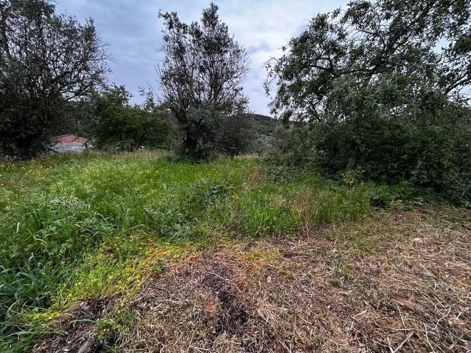 Byhus i Tomar, Santarem - foto 4