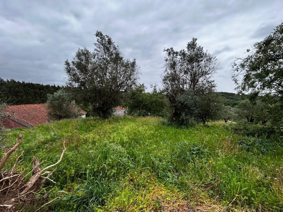 Byhus i Tomar, Santarem - foto 5