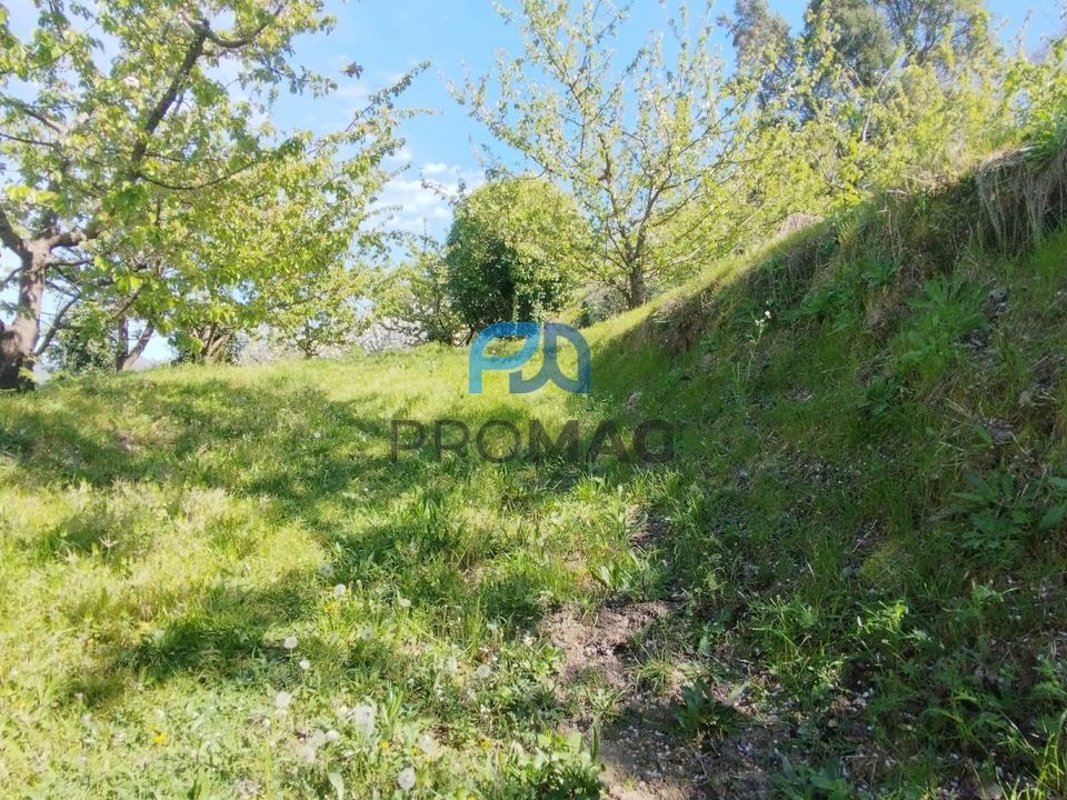 Masia a Resende, Viseu - foto 3