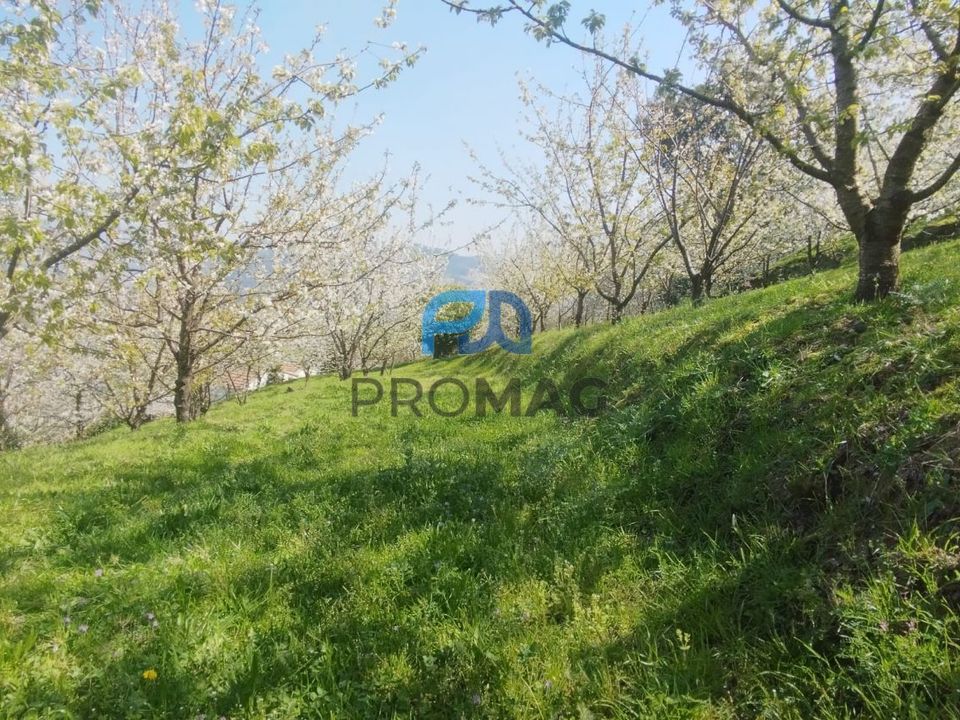 Masia a Resende, Viseu - foto 4