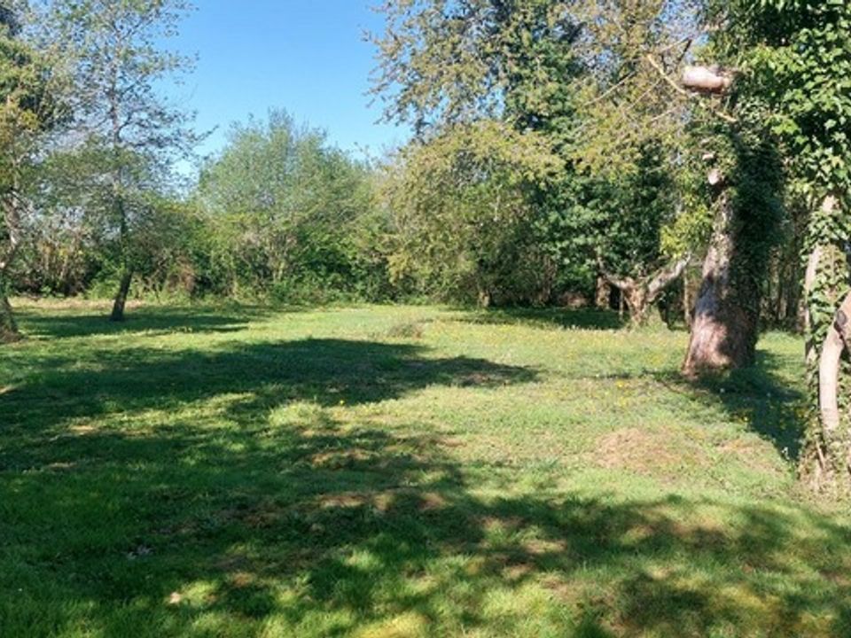 Landejendom i Dampierre-sous-Bouhy, Nievre - foto 2