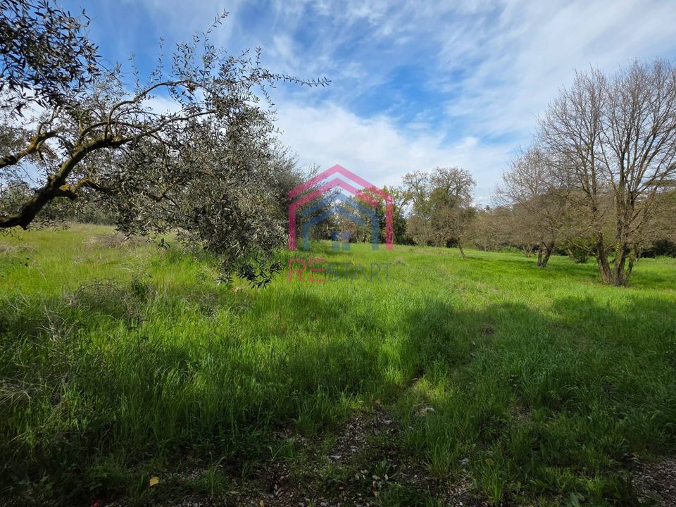 Helårsgrund i Pomezia, Rome - foto 2