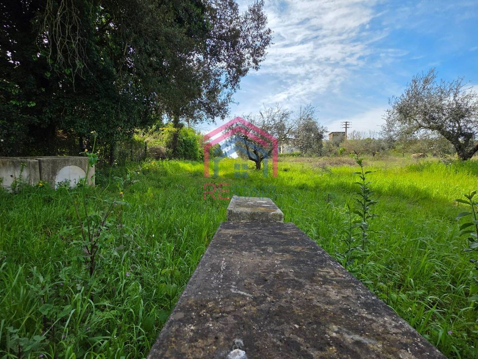 Helårsgrund i Pomezia, Rome - foto 4