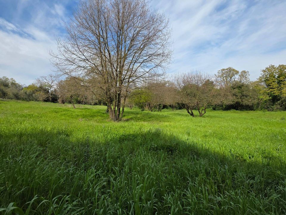 Terra a Pomezia, Rome - foto 1
