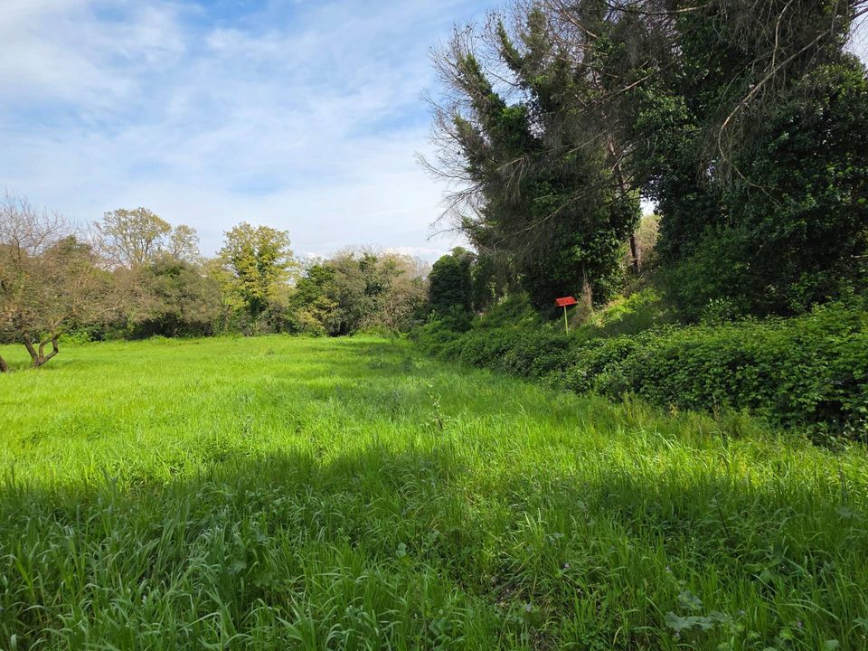 Terra a Pomezia, Rome - foto 2