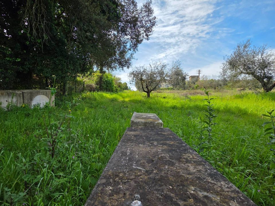 Terra a Pomezia, Rome - foto 4