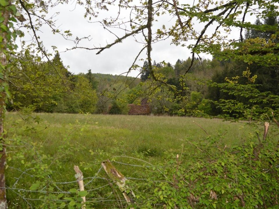 Villa i Payzac, Dordogne - foto 4
