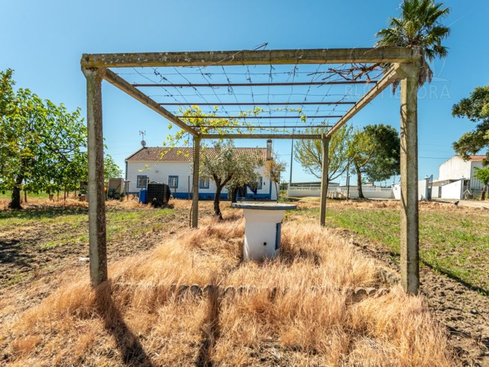 Farm i Montemor-o-Novo, Evora - foto 1