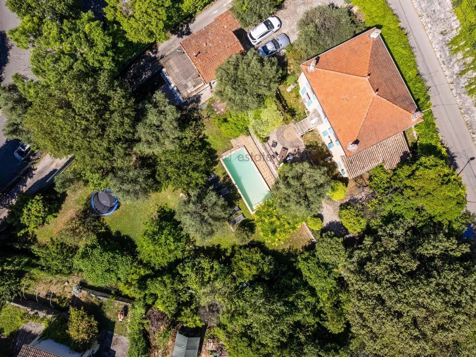 Villa i Grasse, Alpes-Maritimes - foto 4