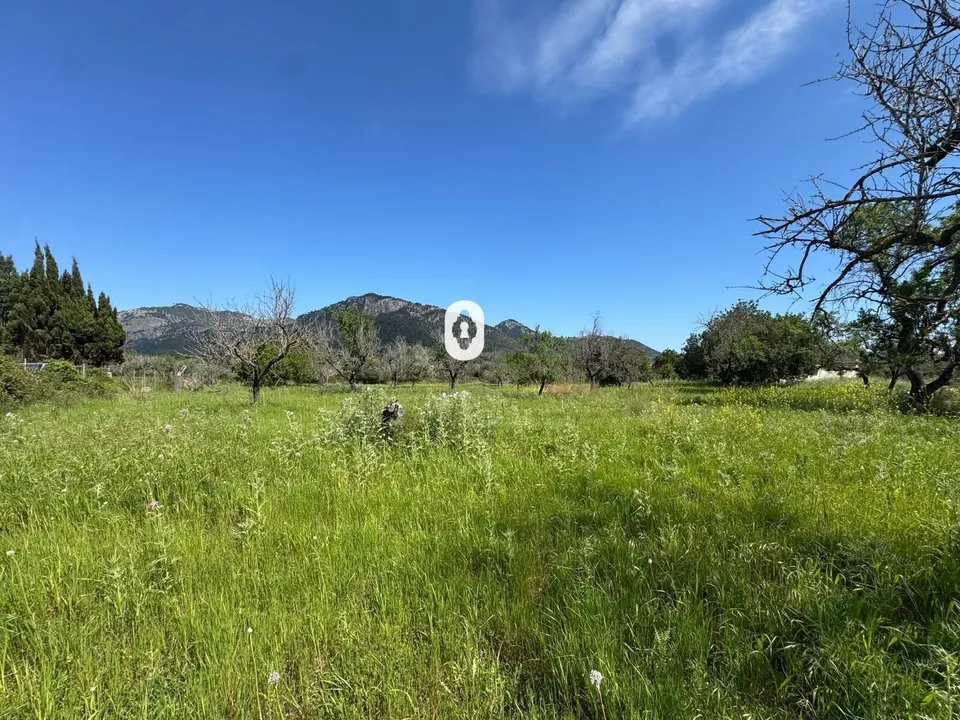 Grond in Selva, Mallorca - foto 2