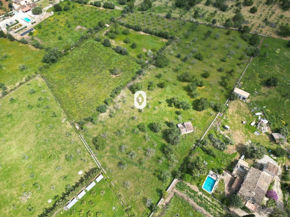 Grond in Selva, Mallorca - foto 4