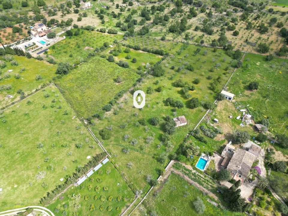 Grond in Selva, Mallorca - foto 5