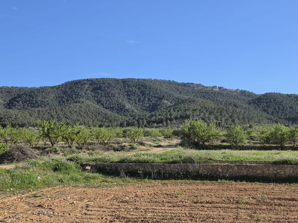 Grond in Monovar, Alicante - foto 1