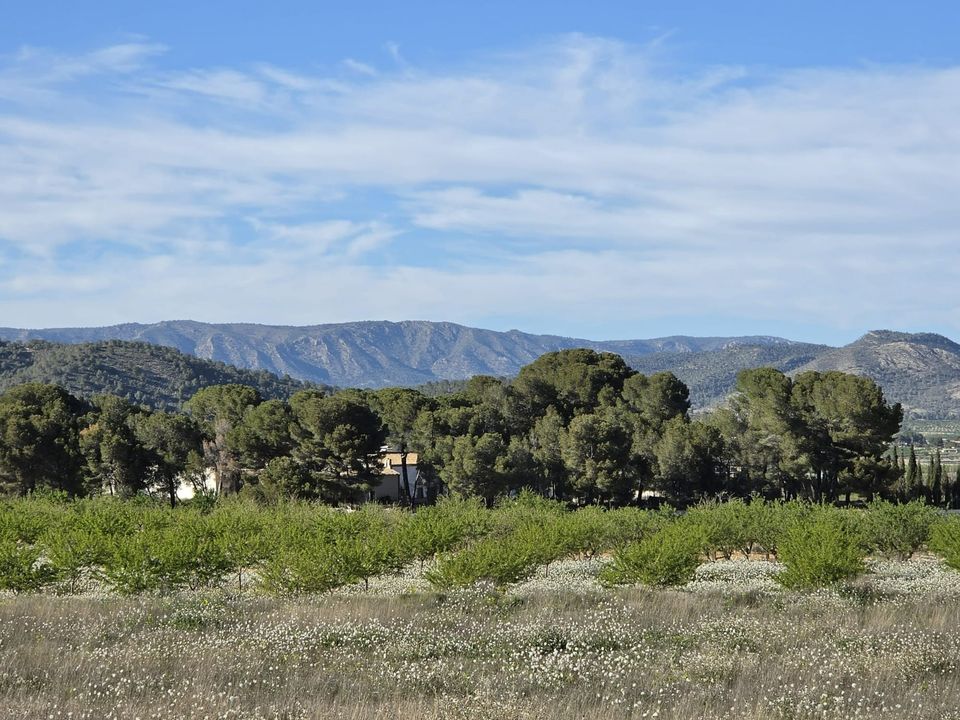 Grond in Monovar, Alicante - foto 2