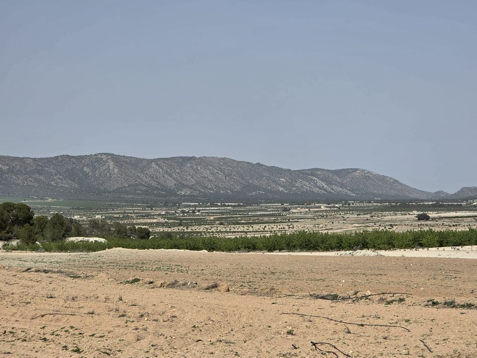 Helårsgrund i Pinoso, Alicante - foto 2