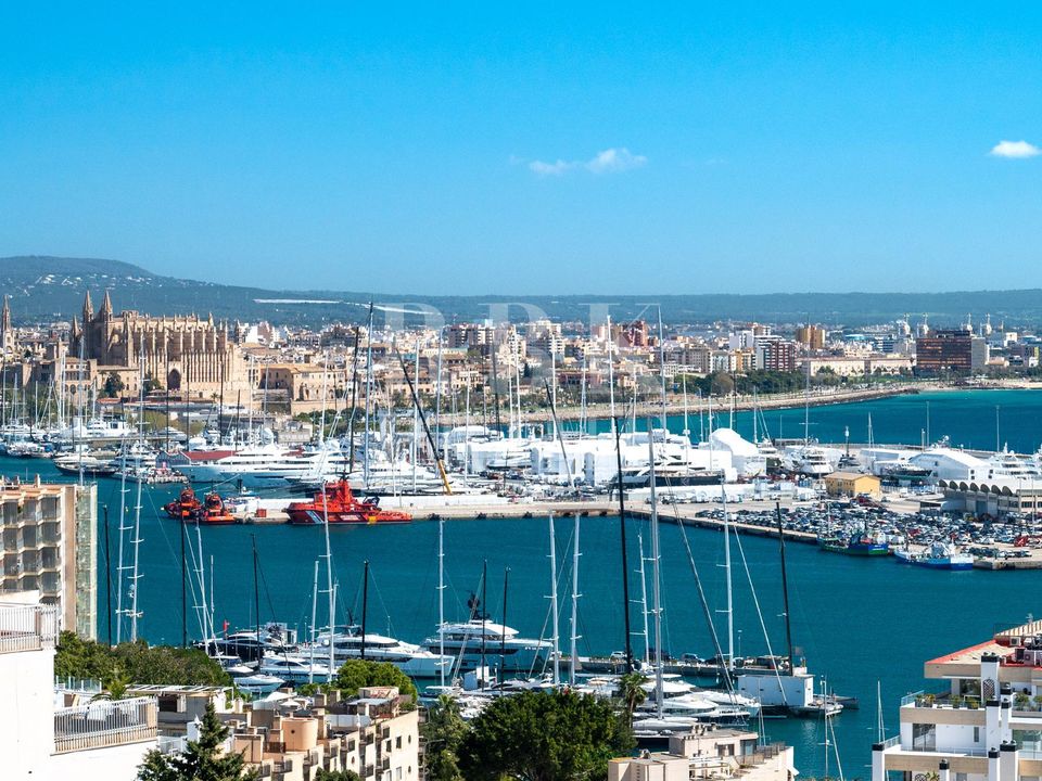Villa i Palma De Mallorca, Mallorca - foto 1