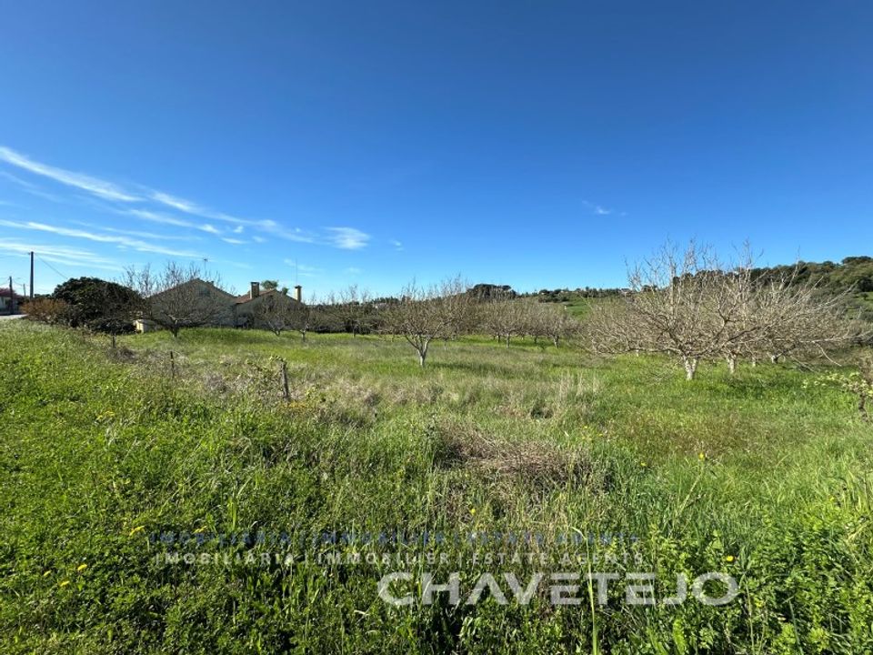 Helårsgrund i Tomar, Santarem - foto 2