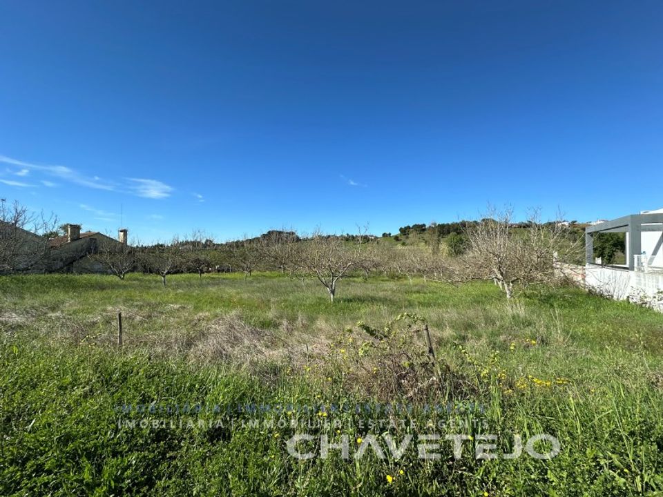 Helårsgrund i Tomar, Santarem - foto 5