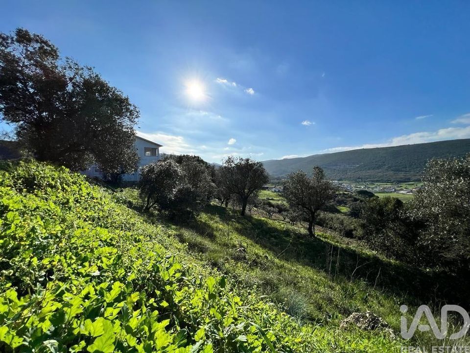 Helårsgrund i Porto de Mos, Leiria - foto 2