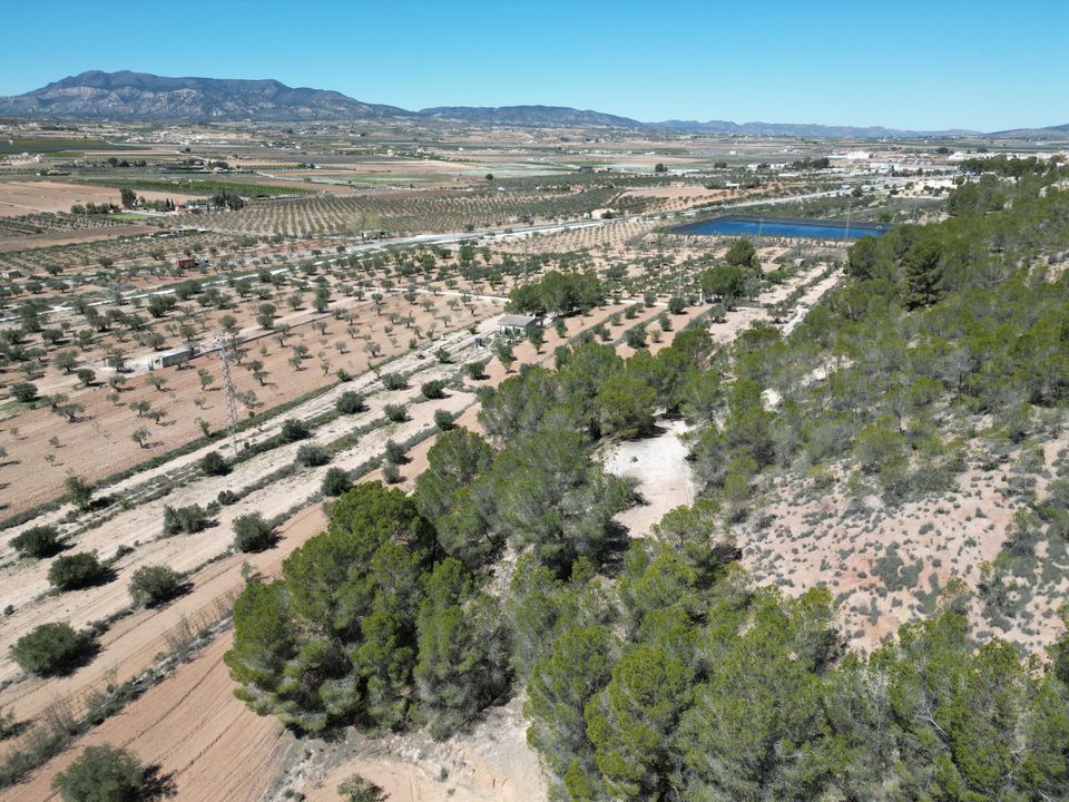 Helårsgrund i Pinoso, Alicante - foto 2