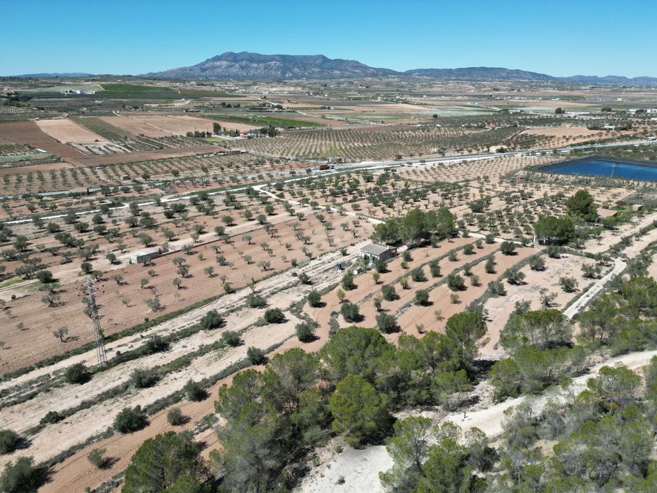 Helårsgrund i Pinoso, Alicante - foto 3