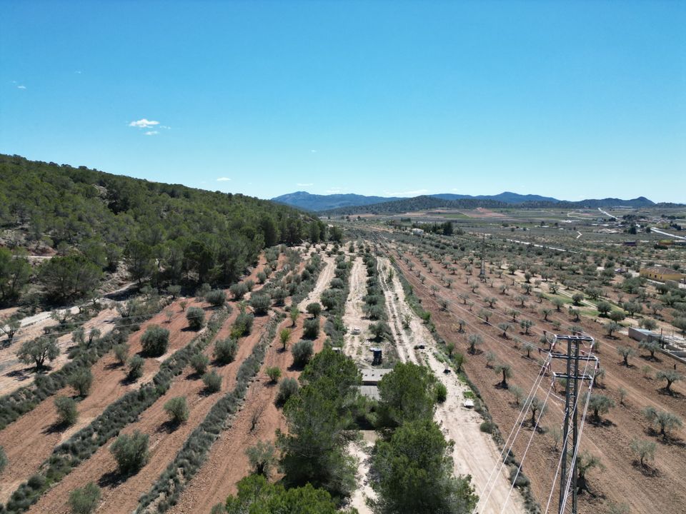 Helårsgrund i Pinoso, Alicante - foto 4