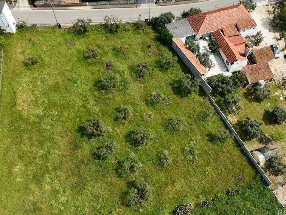 Helårsgrund i Rio Maior, Santarem - foto 3
