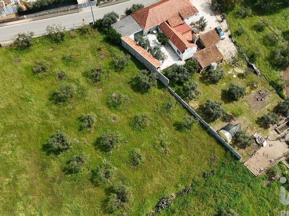 Helårsgrund i Rio Maior, Santarem - foto 4
