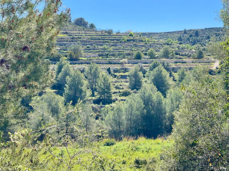 Helårsgrund i Benissa, Alicante - foto 4