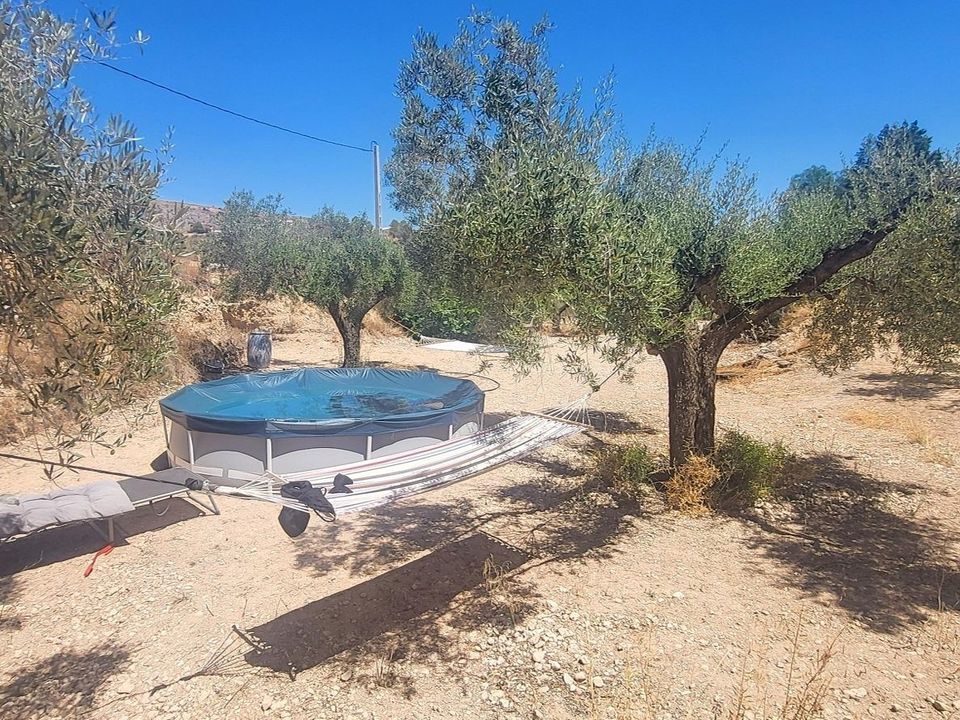 Cave house i La Romana, Alicante - foto 4