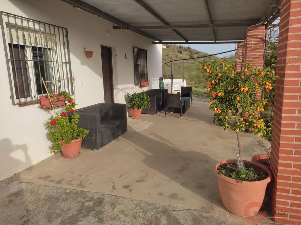 Finca i Velez Malaga, Malaga - foto 4