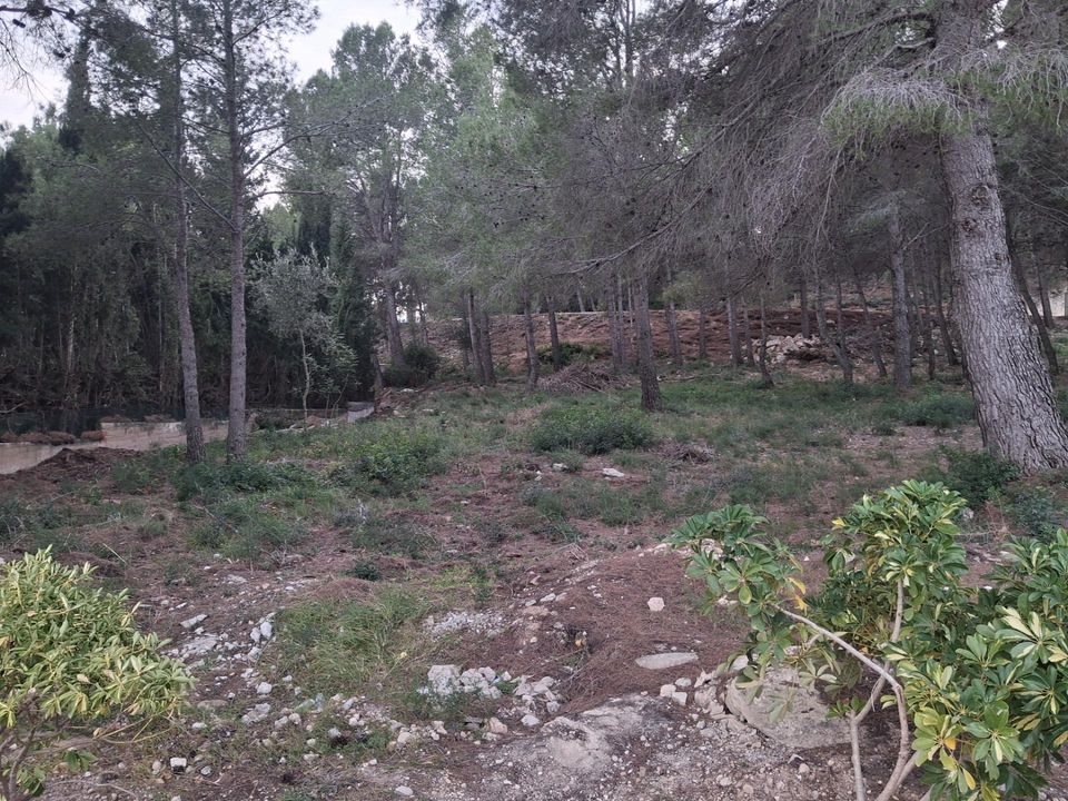 Helårsgrund i Vandellos, Tarragona - foto 4
