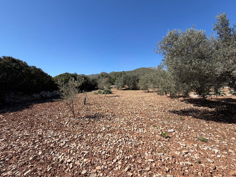Helårsgrund i Capdepera, Mallorca - foto 1