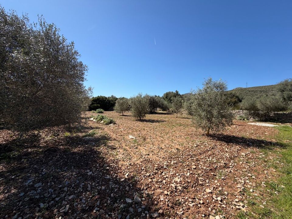 Helårsgrund i Capdepera, Mallorca - foto 2