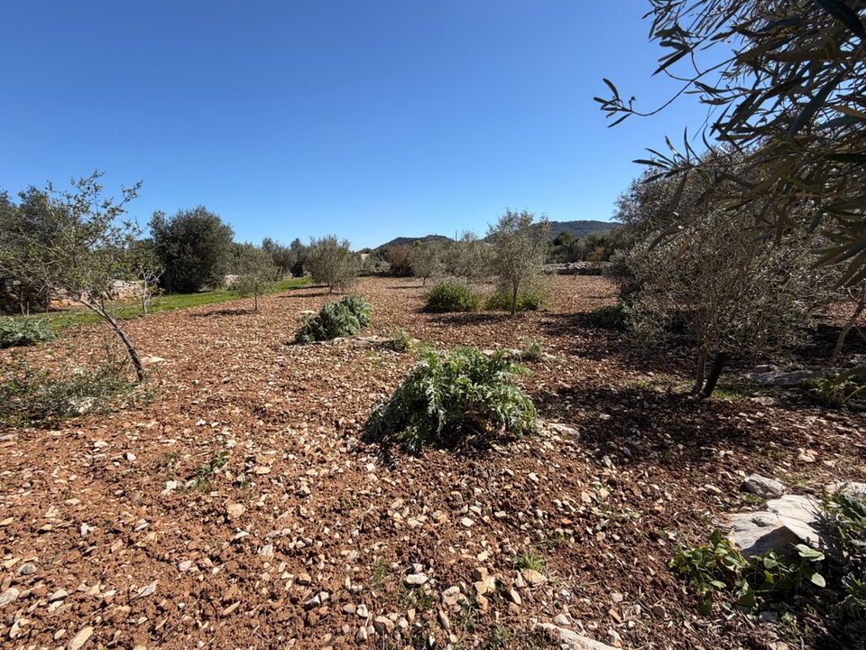 Helårsgrund i Capdepera, Mallorca - foto 3