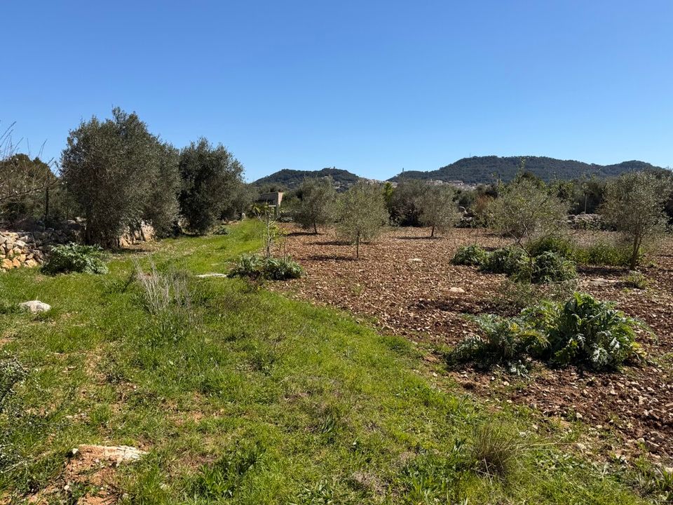 Helårsgrund i Capdepera, Mallorca - foto 5