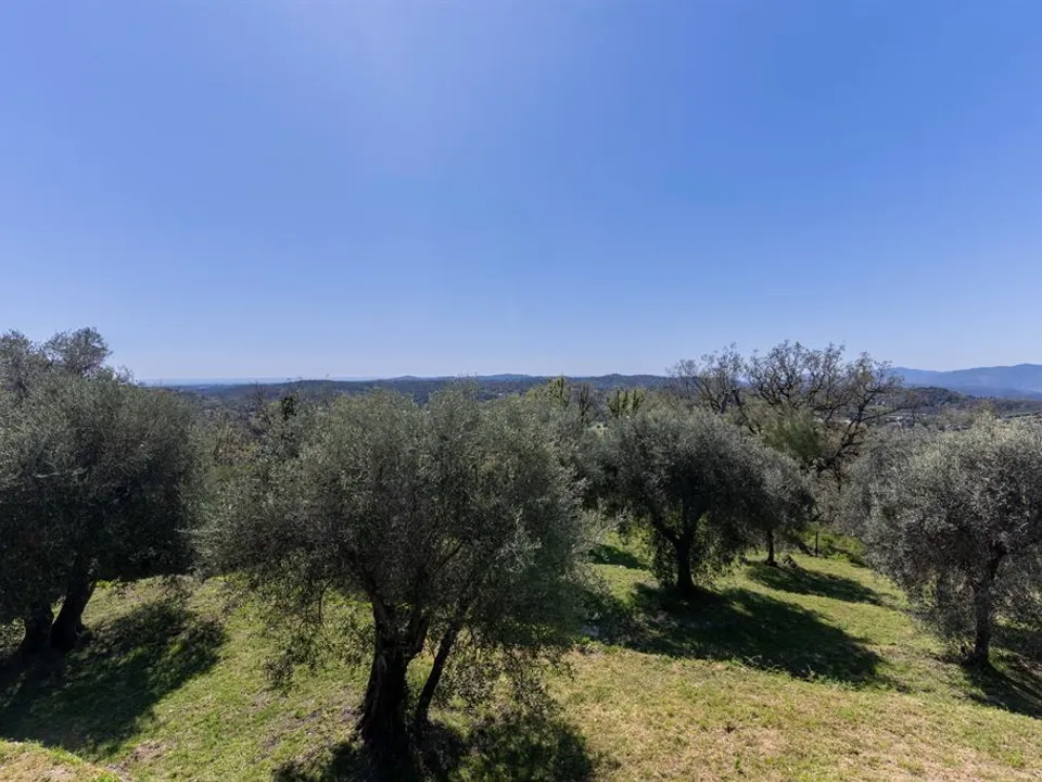 Villa i Chateauneuf-Grasse, Alpes-Maritimes - foto 3