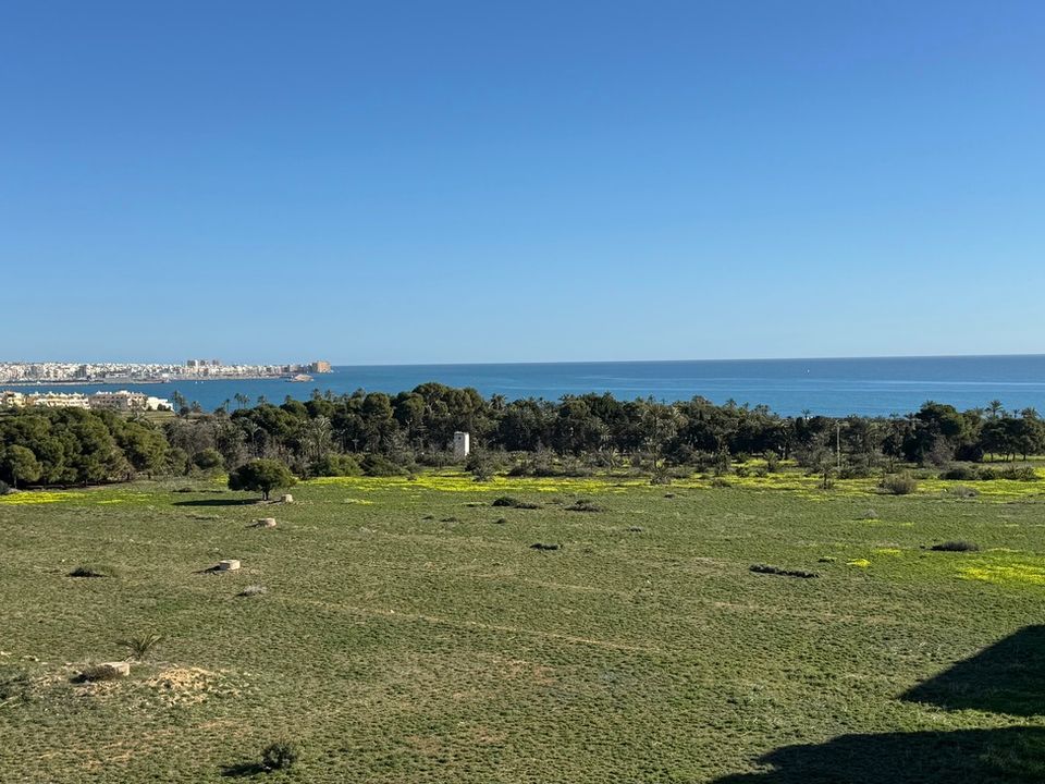 Penthouse i Punta Prima, Alicante - bilde 1