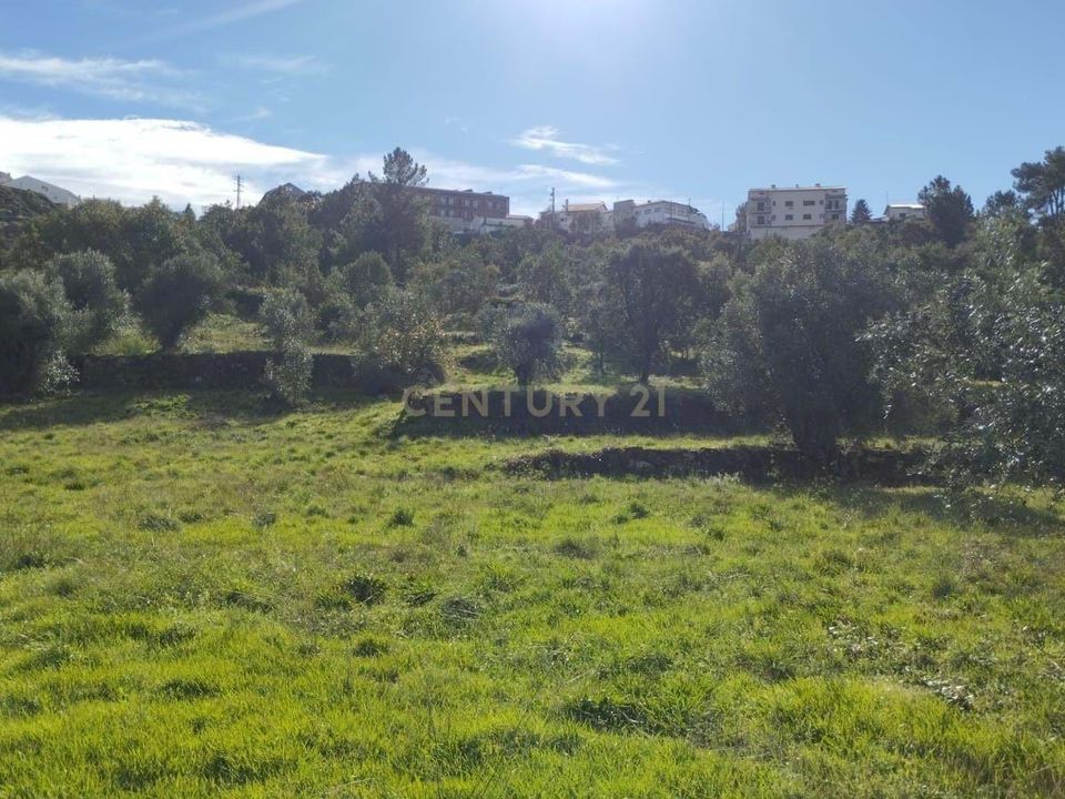 Helårsgrund i Belmonte, Castelo Branco - foto 2