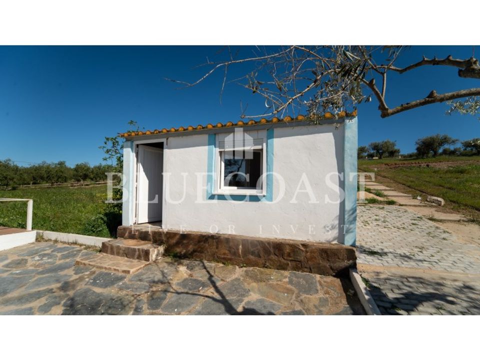Farm i Moura, Beja - foto 5