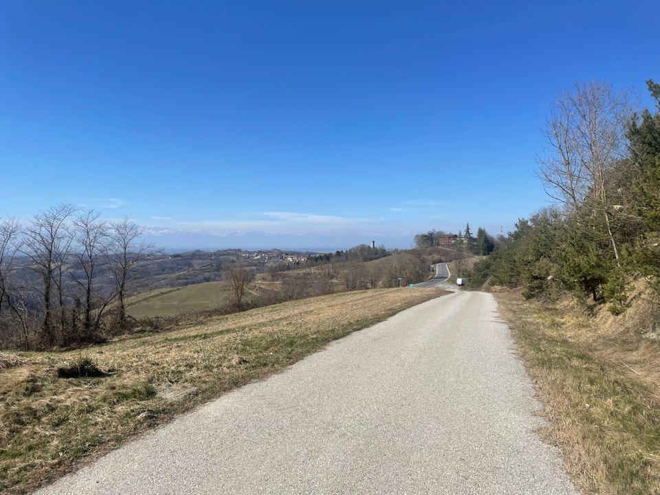 Villa i Murazzano, Cuneo - foto 3