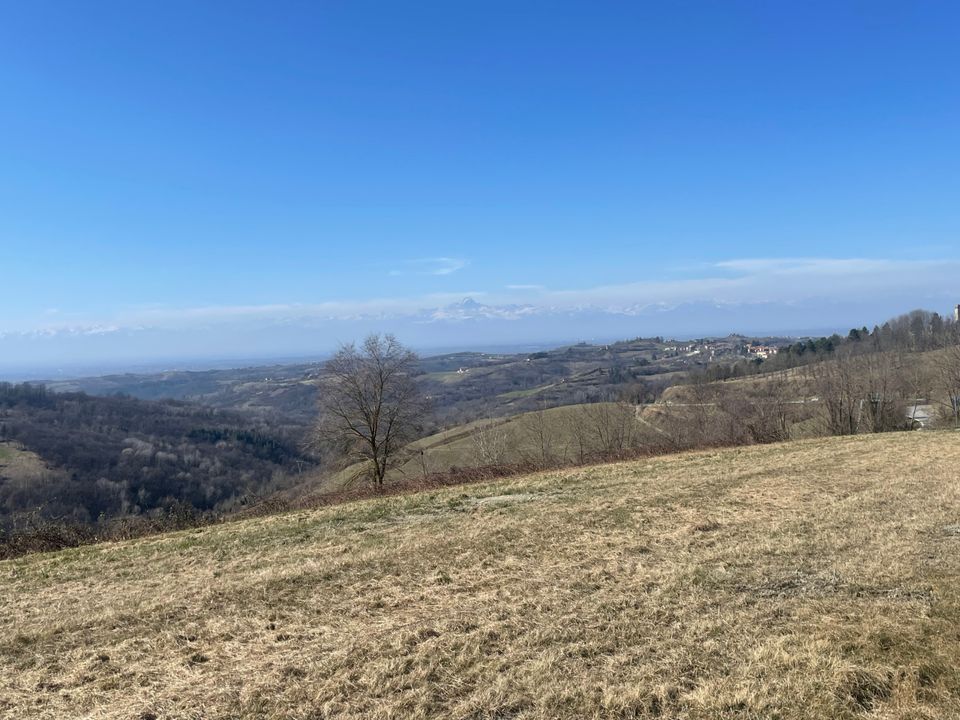 Villa i Murazzano, Cuneo - foto 5