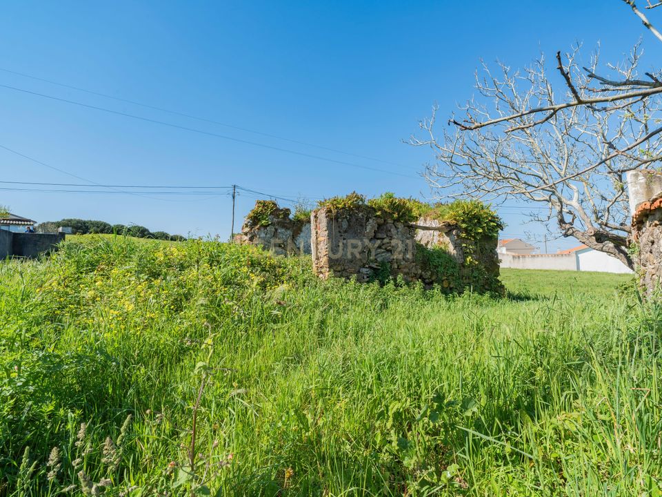 Villa i Alcobaca, Leiria - foto 3