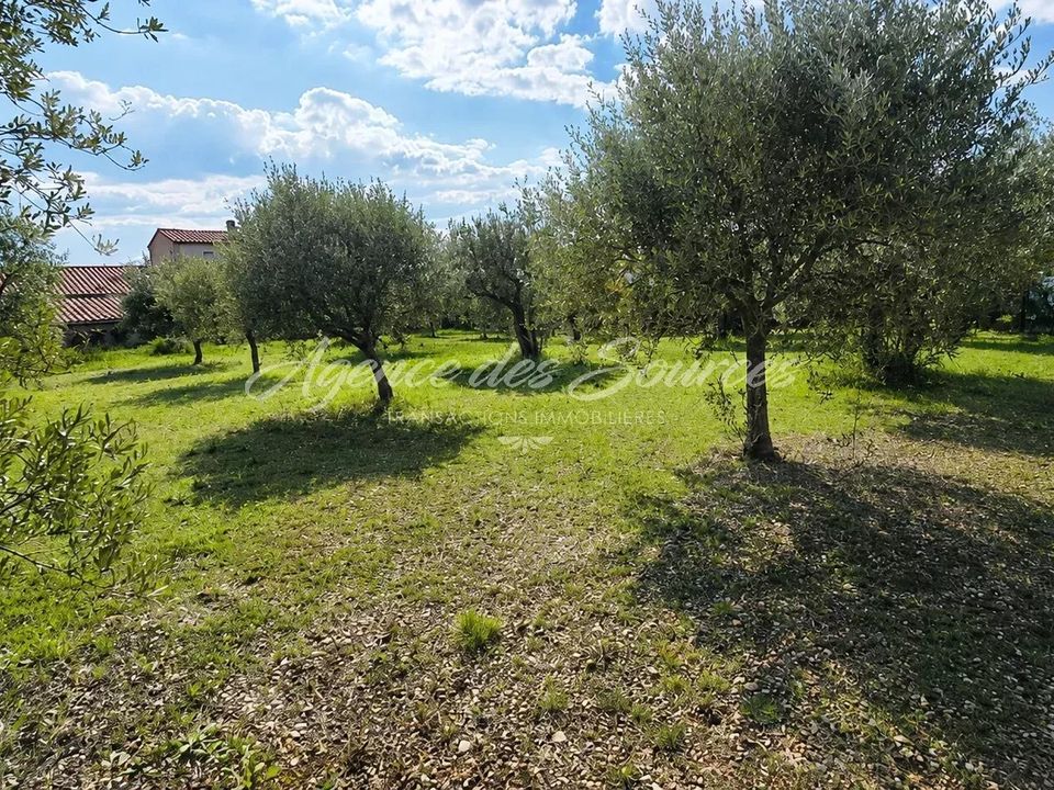 Tomt i Tavernes, Var - bilde 2