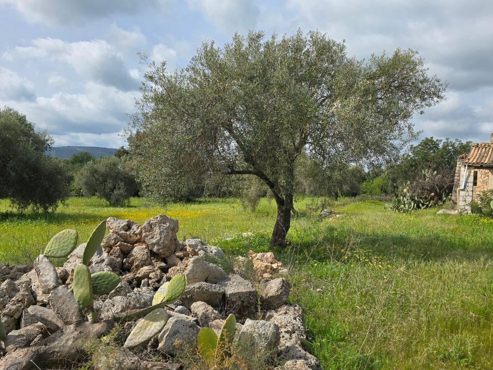 Villa i Canicattini Bagni, Siracusa - foto 5
